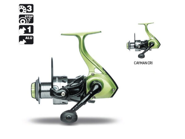 Ritė JAXON Cayman CRI Match